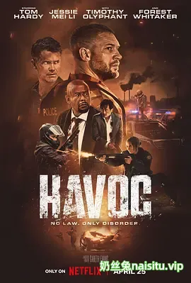 毒劫 Havoc (2025).webp